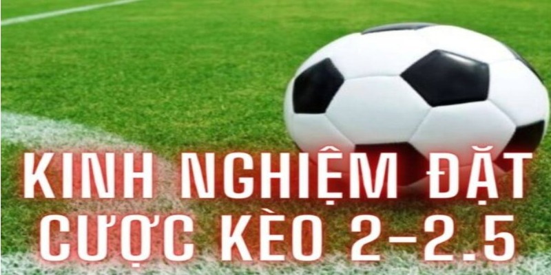 mẹo lựa chọn kèo tài xỉu 2 2.5 từ cao thủ